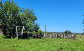 105 ha. en Concordia